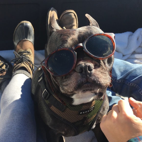 Meet your Posher, Emily - Picture 3 of 3